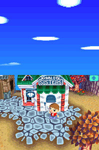 animal crossing wild world download play
